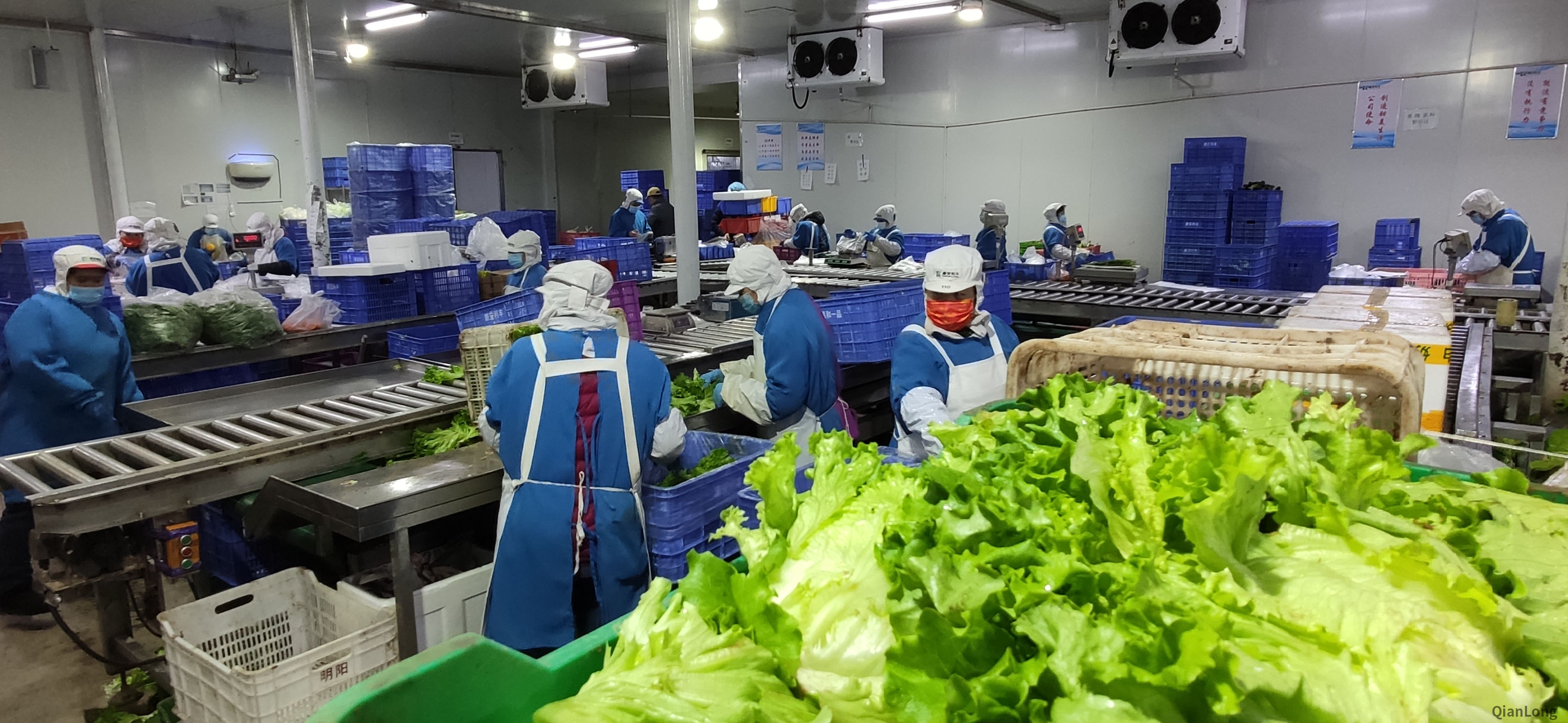 微信图片_20211112115753