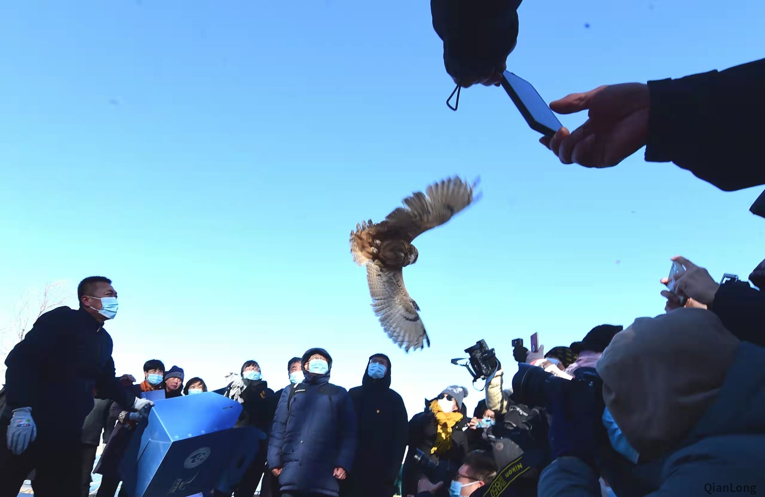 微信图片_20211203172526