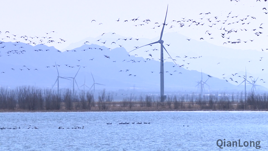 微信图片_20211203191717