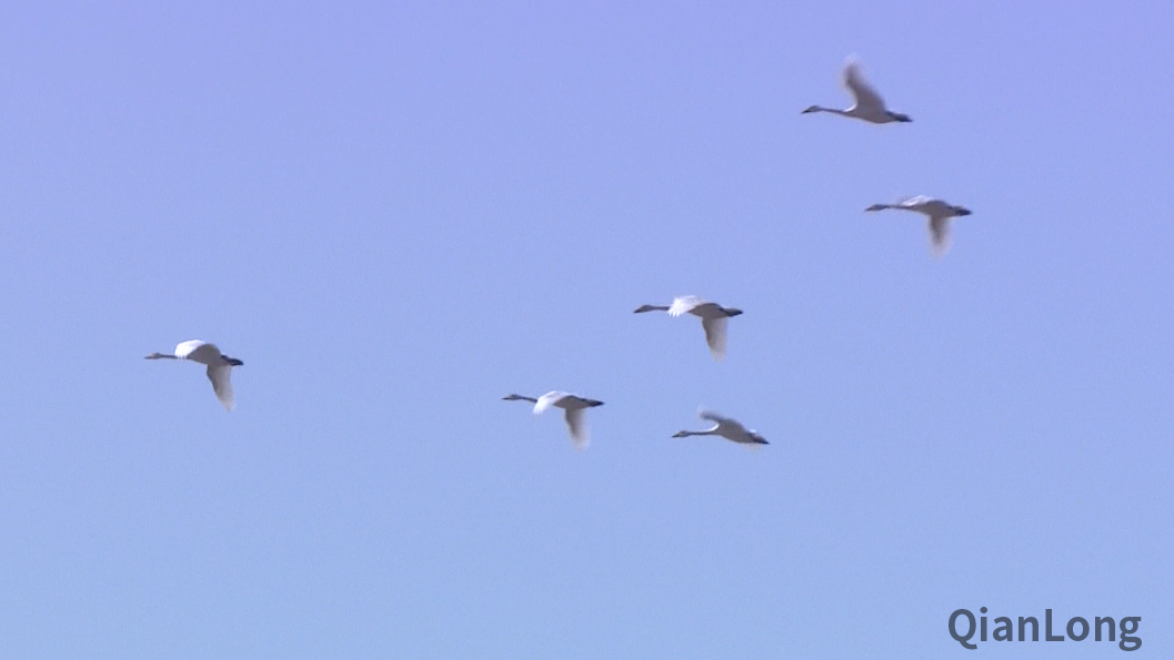 微信图片_20211203191721