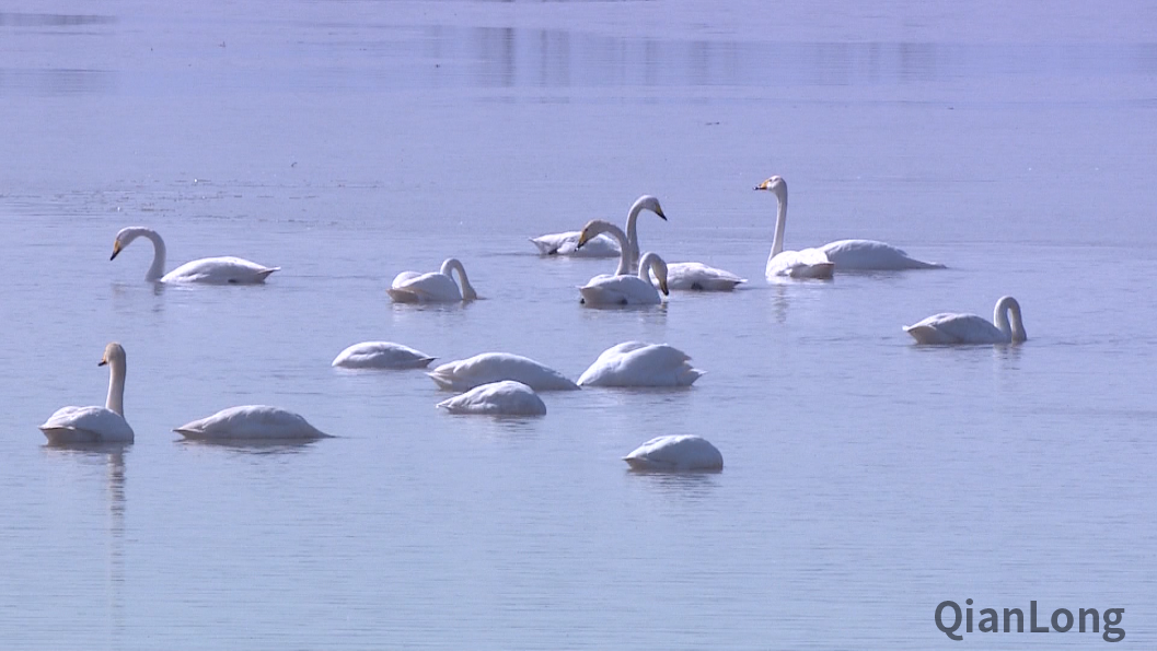 微信图片_20211203191710