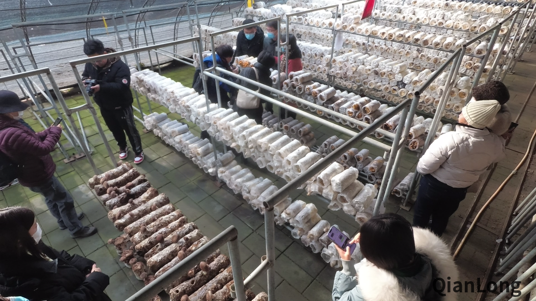 微信图片_20211217085934