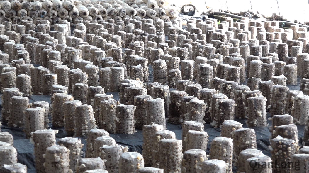 微信图片_20211217090001