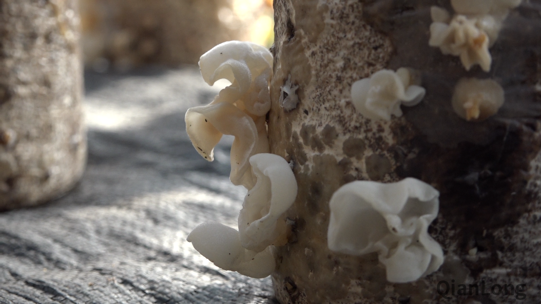 微信图片_20211217085955