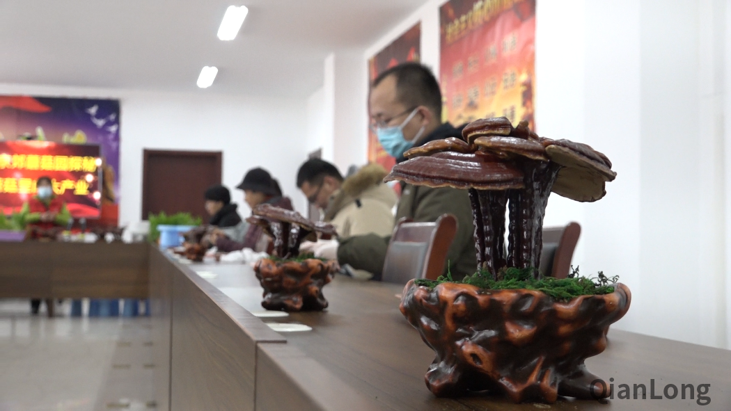 微信图片_20211217164750