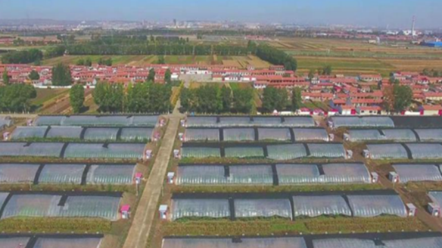 图片9