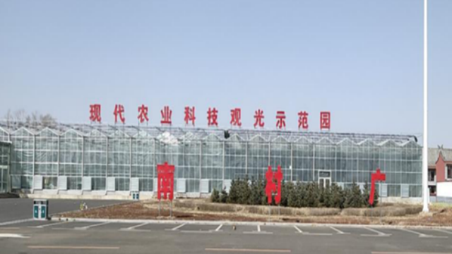 图片11