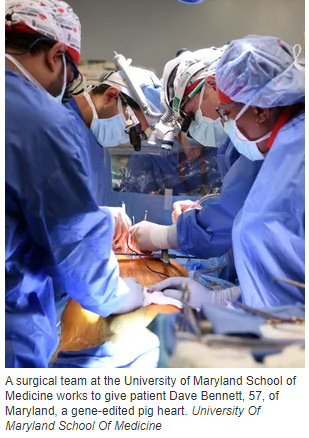 1641860394847563.png 2.png