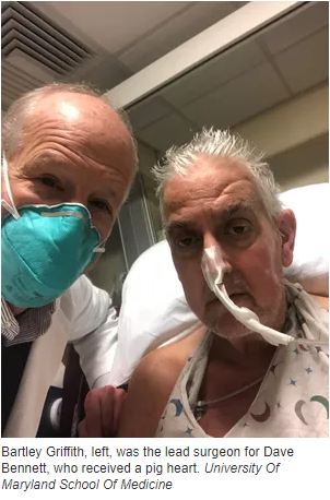 1641860380860943.png 1_副本.png