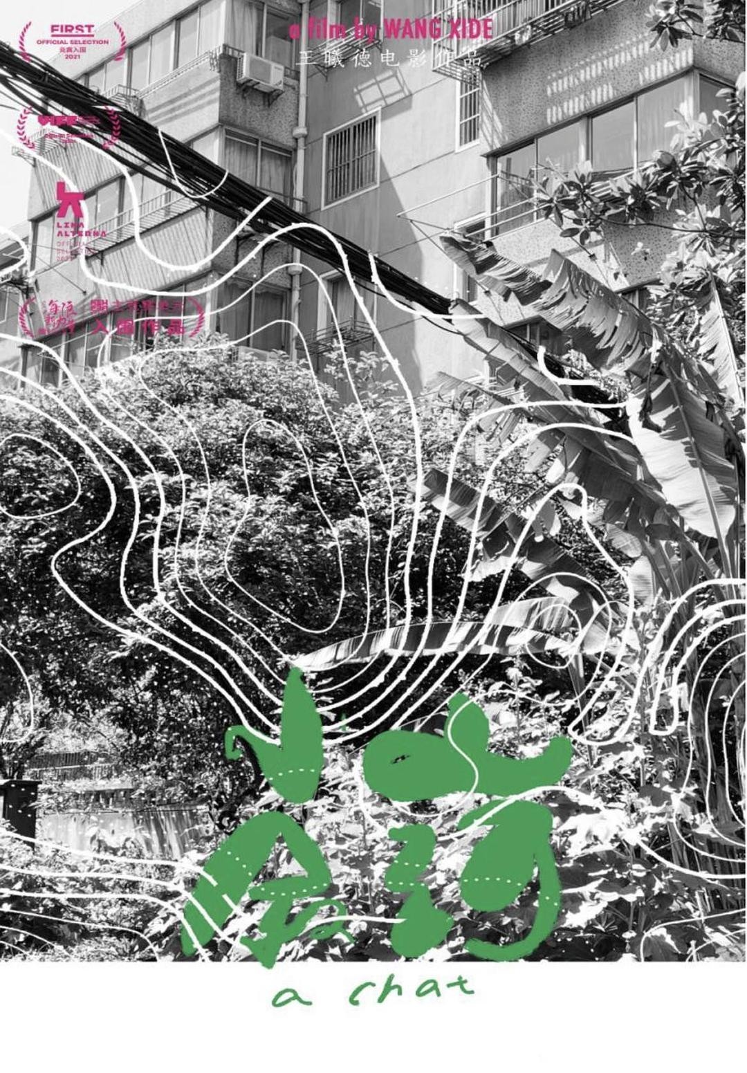 协同104位电影人线上审片,华语青年电影周是怎么做到的?