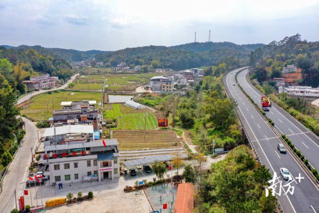 治理有序、产业兴旺的陂蓬村。南方日报记者 何森垚 摄