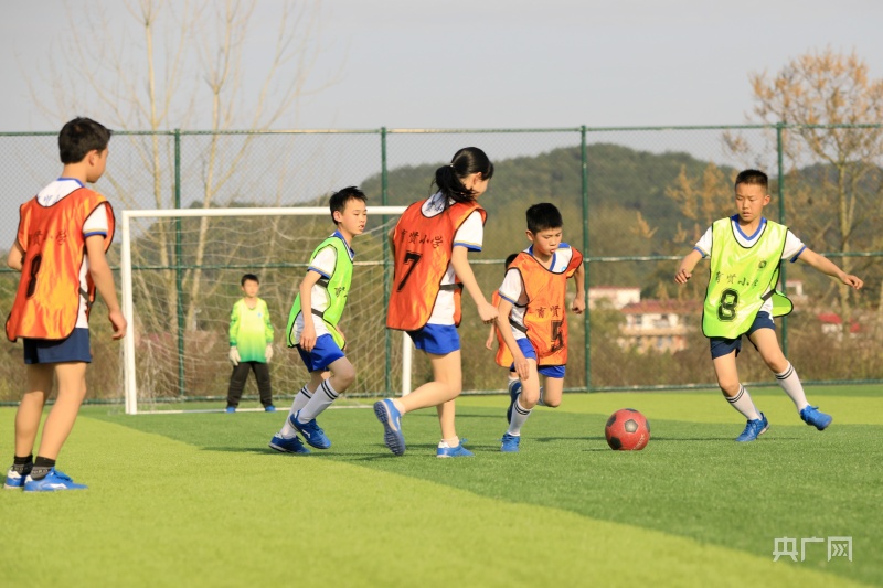 甘泉大峡谷足球队荣获2025年第五届“朱鹮杯”2025江西省城市足球联赛-赛程/比分/球队阵容全掌握-本地热血来袭！全国青少年邀请赛U9组冠军