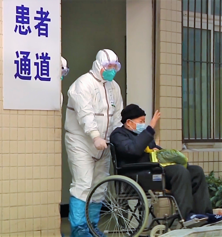“真的想邀请总书记来看一下武汉的樱花”-千龙网·中国首都网