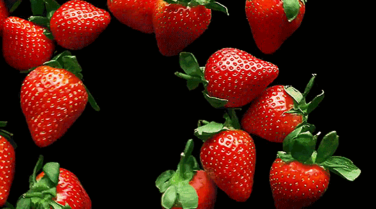 f6b574251f5f23fa2b1809e6732b65c4.gif