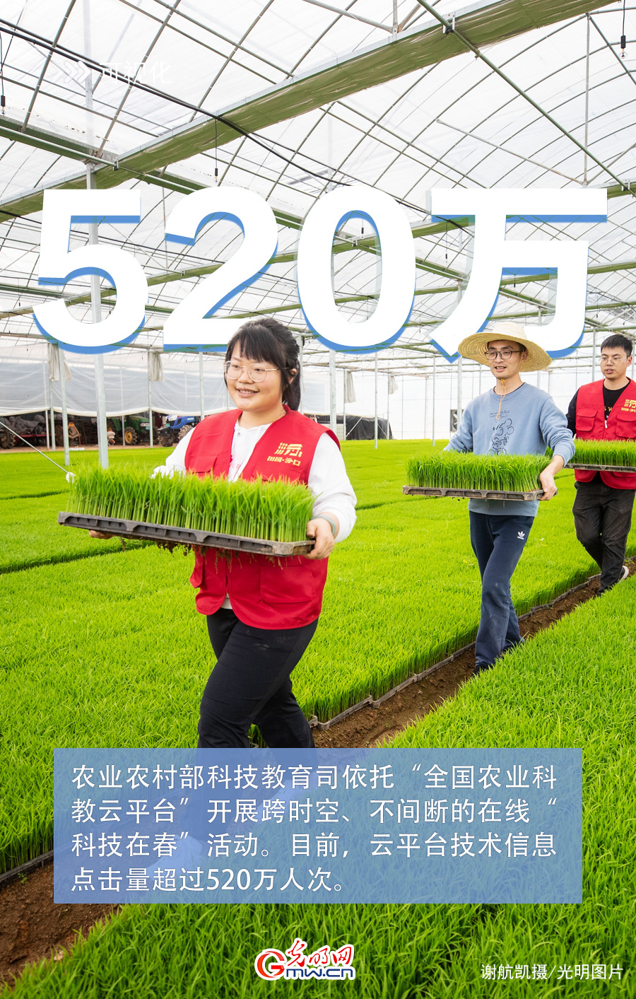 【海报】科技助力春耕 藏粮于技加速成为现实 【海报】科技助力春耕 藏粮于技加速成为现实