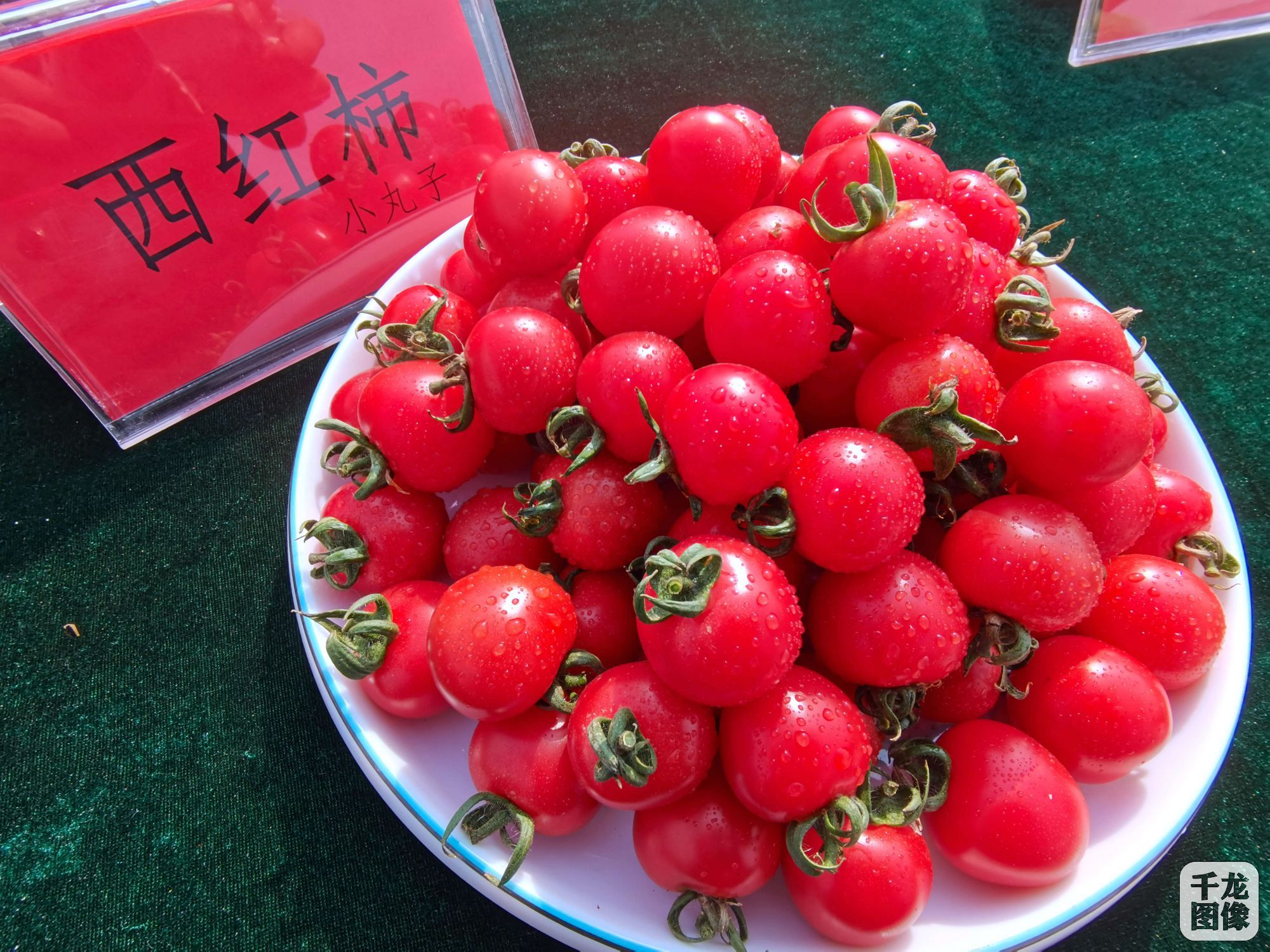 马平川 摄 (10)