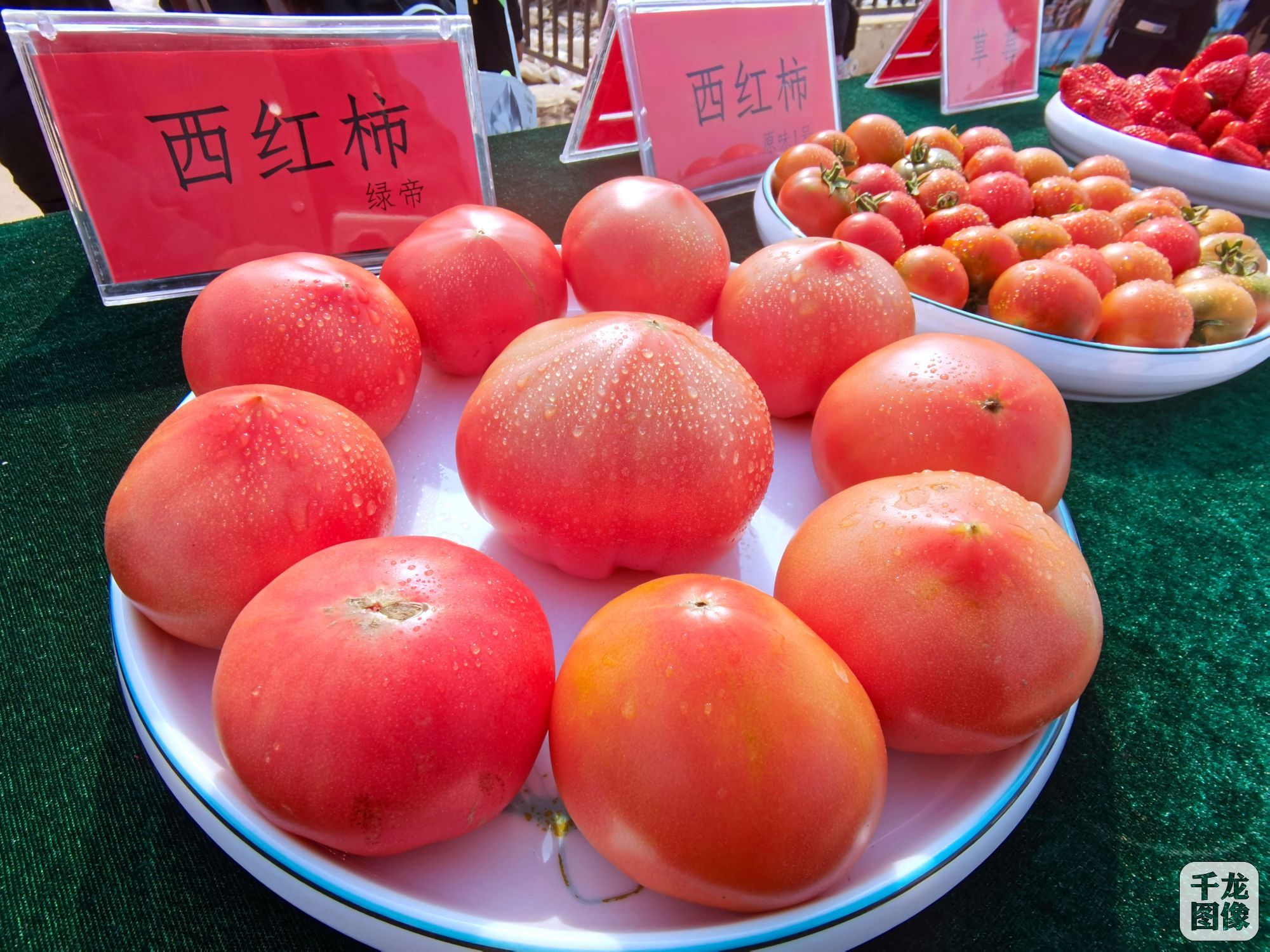 马平川 摄 (8)