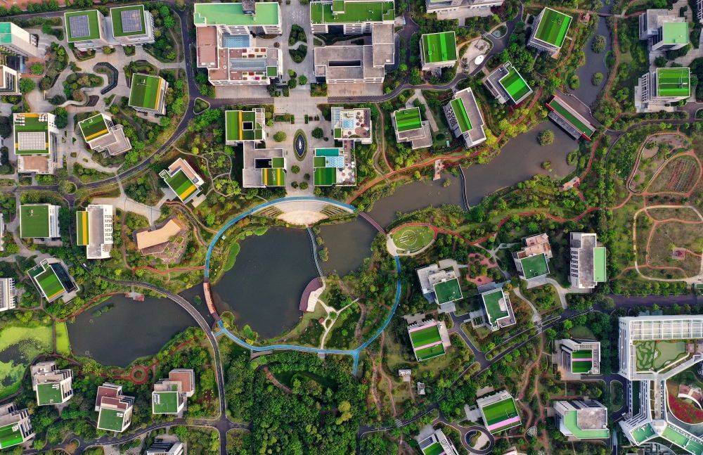 图为海南生态软件园园区。新华社记者 郭程 摄