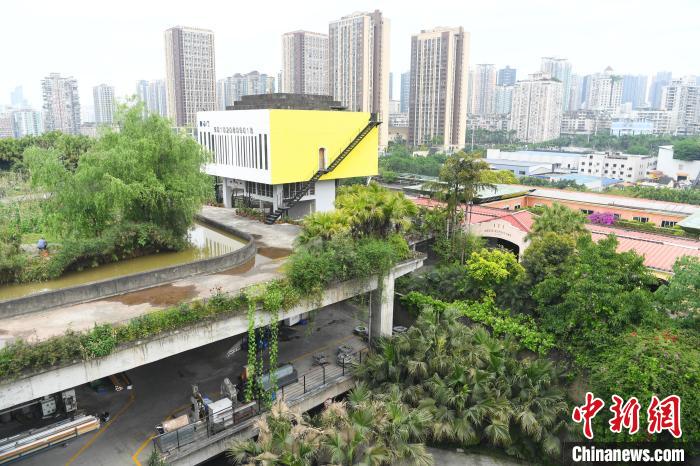 工厂楼顶打造的“农场”。　陈超 摄