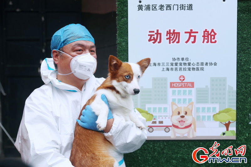 【组图】送走最后一批“毛孩子” 上海首家“动物方舱”顺利关舱