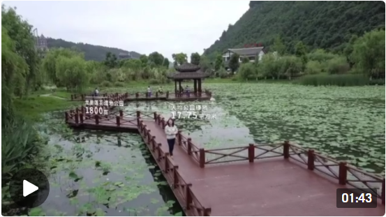 微信截图_20220615225254