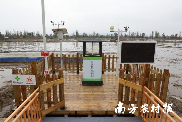 &ldquo;眼睛&rdquo;长在田头的智慧农业物联网系统。