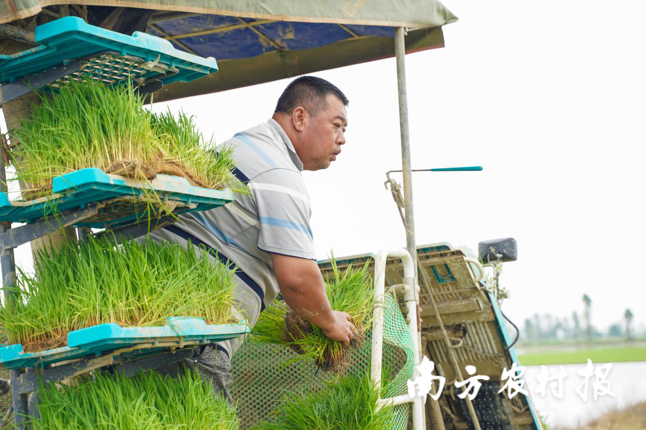 都斛镇&ldquo;种粮大王&rdquo;李胜业