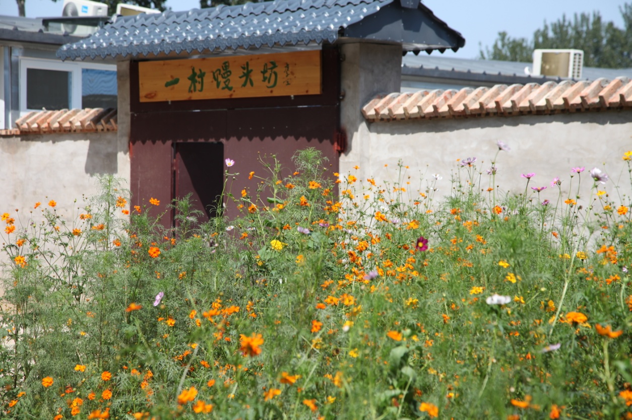 北京乡村振兴故事（十一）党员带头+村民自治的美丽乡村——顺义高丽营镇一村