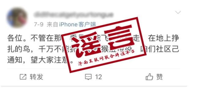 谣言2.jpg