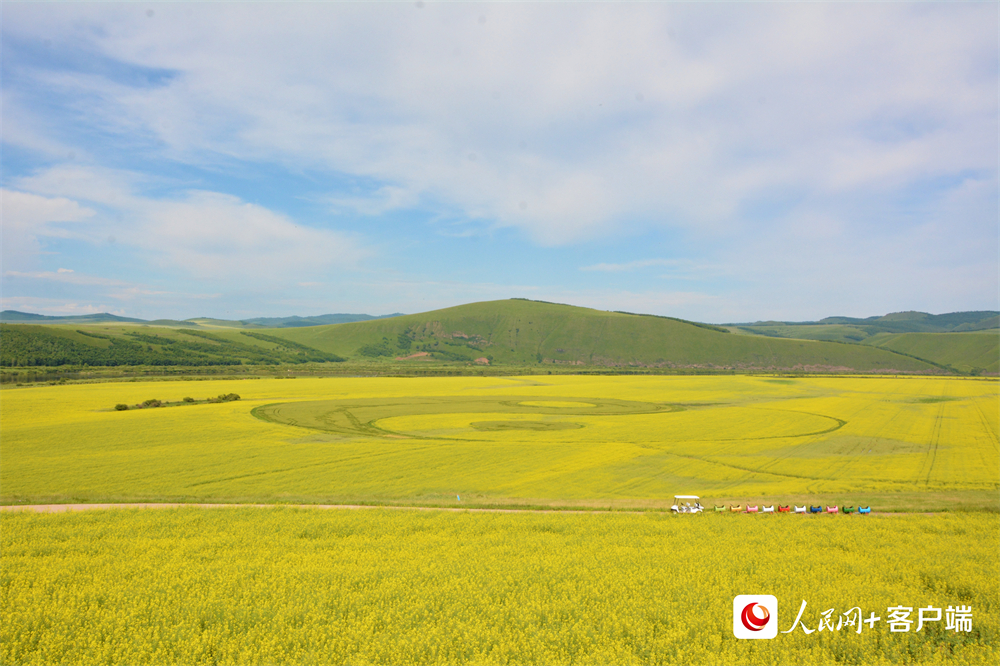 在内蒙古呼伦贝尔额尔古纳市蒙兀室韦苏木，观景&ldquo;小火车&rdquo;停靠在奥洛契庄园农作物种植而成的小型&ldquo;太极图&rdquo;田园景观前。人民网孟丽媛摄