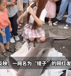 官方辟谣网红从京东购买大白鲨
