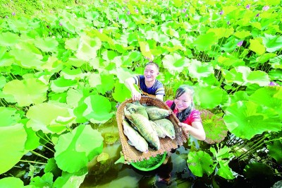 贵州：奋斗铸就&ldquo;黄金十年&rdquo;