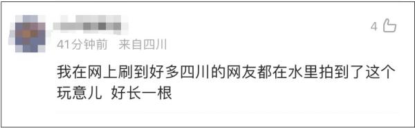 “龙线虫”冲上热搜！官方辟谣