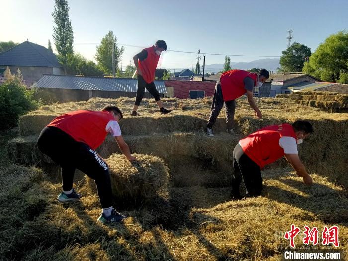 新疆伊犁州秋收秋种工作有序进行