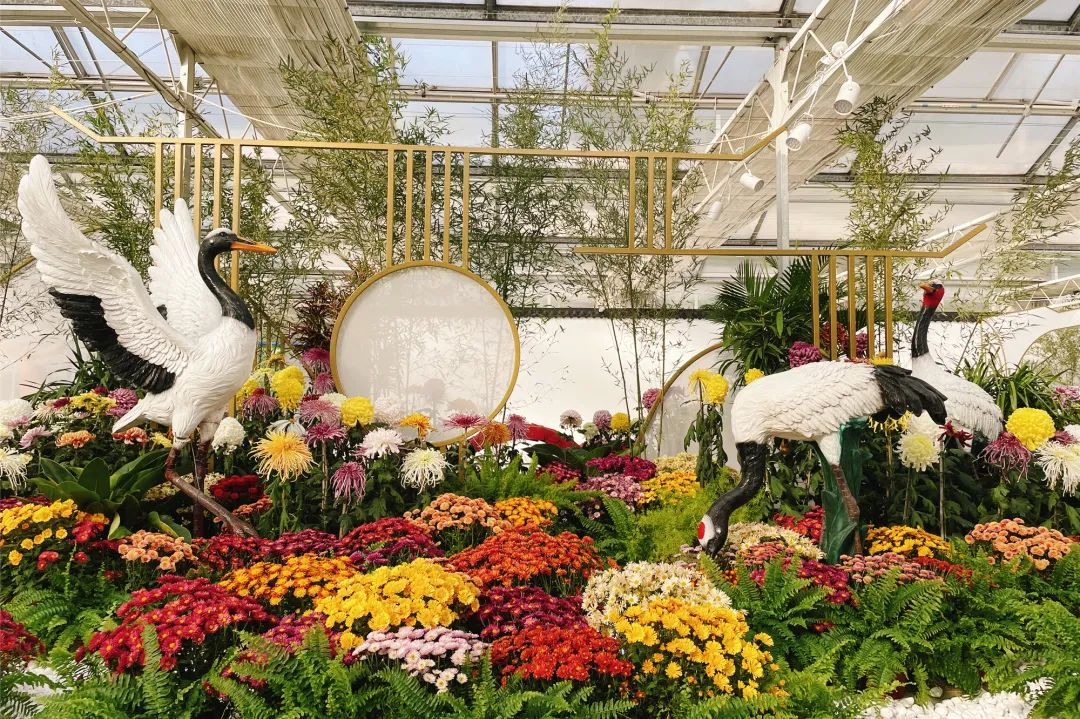 活力丰台 多彩金秋 &mdash;&mdash;2022丰台金秋文化旅游季拉开帷幕