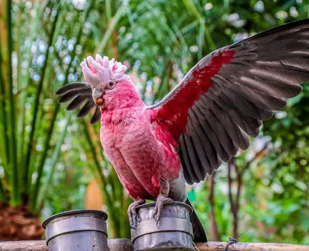 活力丰台 多彩金秋 &mdash;&mdash;2022丰台金秋文化旅游季拉开帷幕