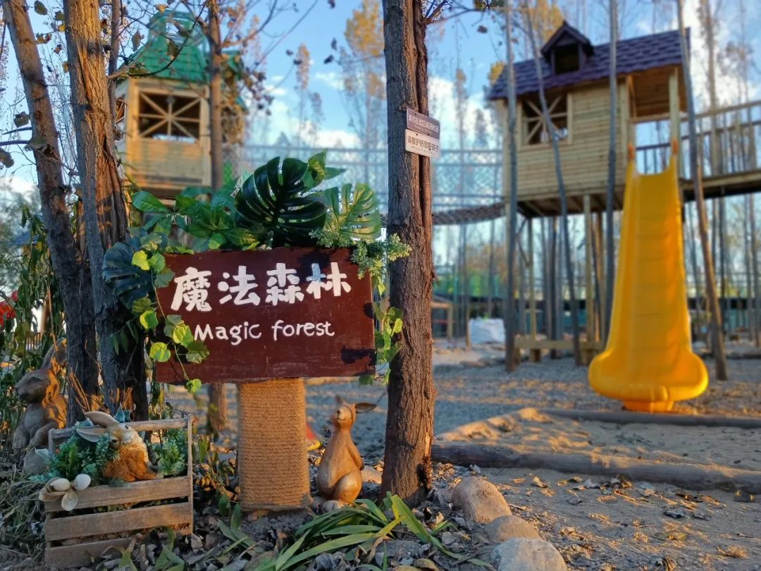 活力丰台 多彩金秋 &mdash;&mdash;2022丰台金秋文化旅游季拉开帷幕