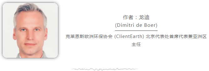 在中共二十大召开之际，我不禁回顾了在过去十年里见证到的中国在生态环境保护方面所取得的显著进展：蓝天回来了，城市更加绿色美丽，受污染的水体基本消失，长江三角洲一带又见江豚踪影，贫瘠的土地上长出广袤的森林，重要的生态系统得到了有效保护，野生大熊猫添丁进口等等。