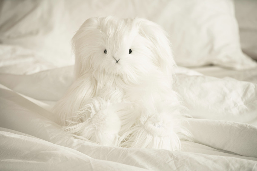 欧阳娜娜发布本性生活方式品牌nabi 推出 nabi 首个「云朵胶囊系列」，推崇精致安静生活方式