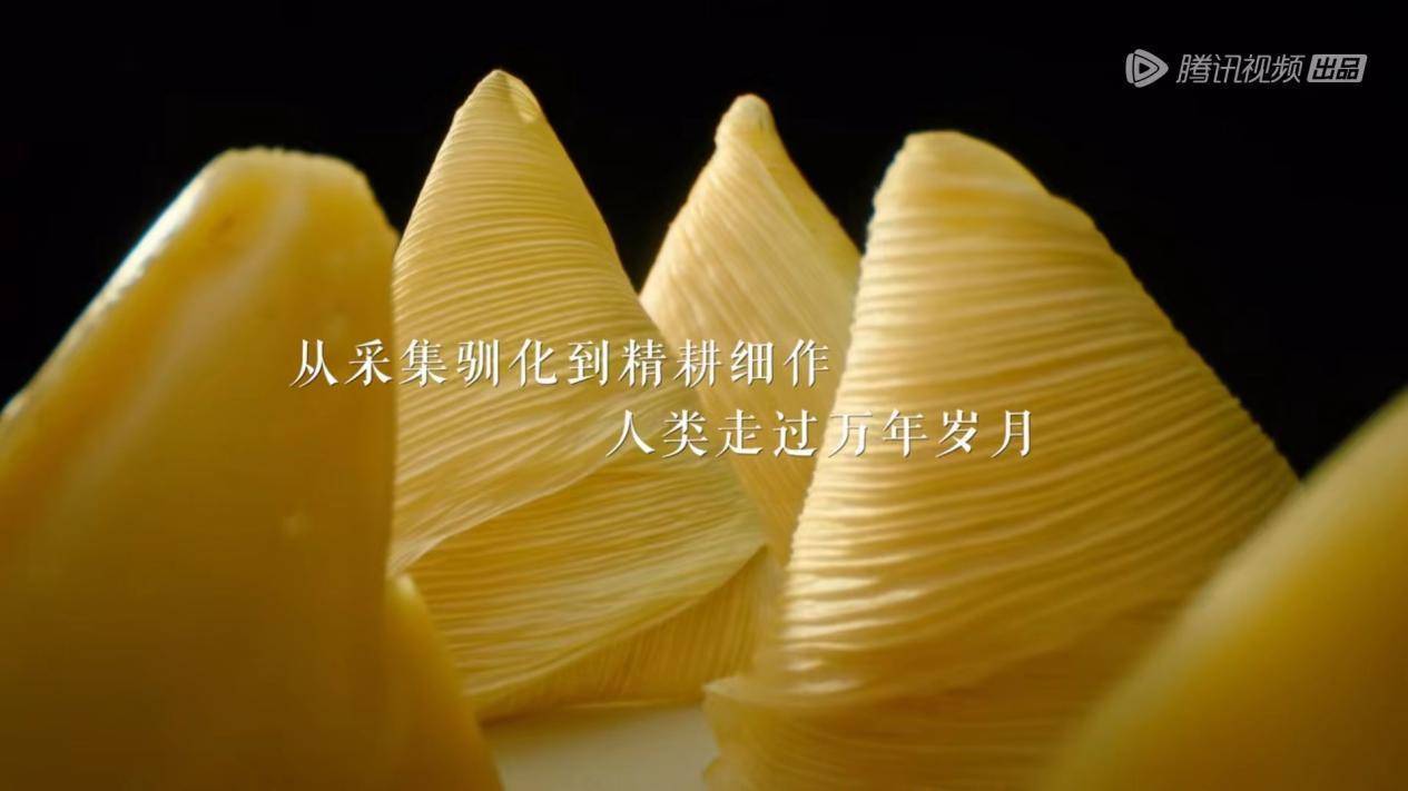 《风味人间4·谷物星球》定档 陈晓卿携人间谷物重磅回归