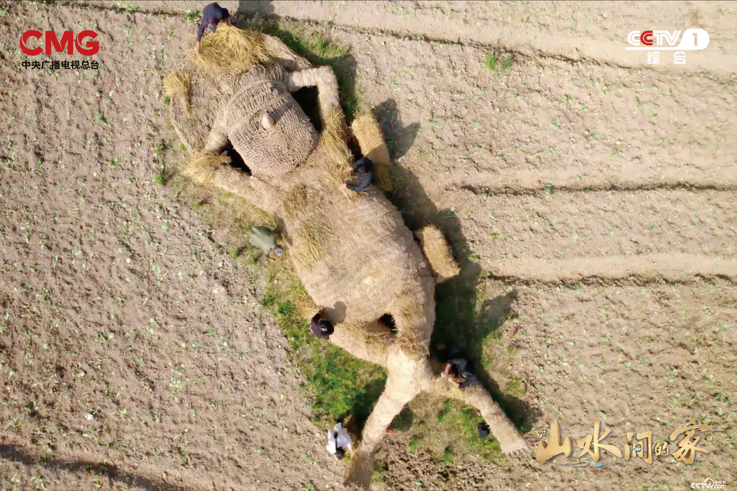 艺术如何赋能乡村？《山水间的家》撒贝宁张舒越田间“迷宫寻宝”