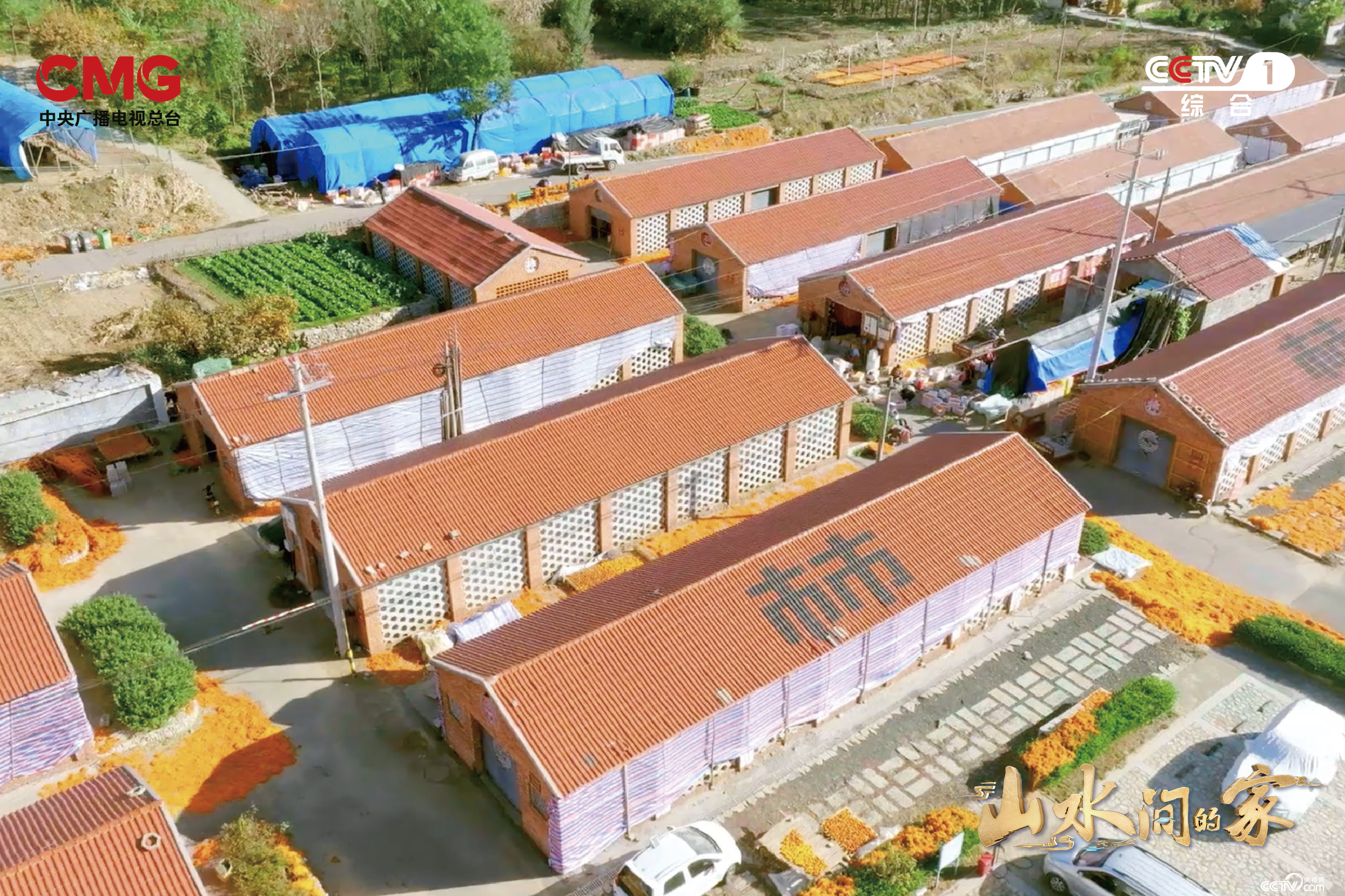 艺术如何赋能乡村？《山水间的家》撒贝宁张舒越田间“迷宫寻宝”