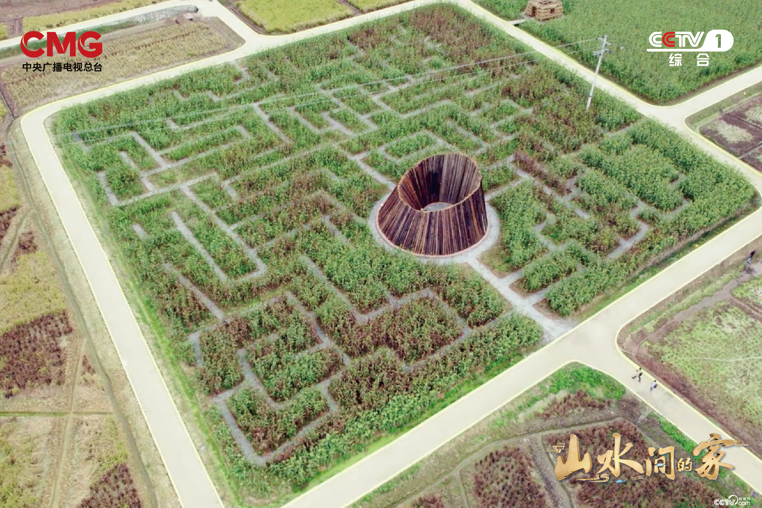 艺术如何赋能乡村？《山水间的家》撒贝宁张舒越田间“迷宫寻宝”