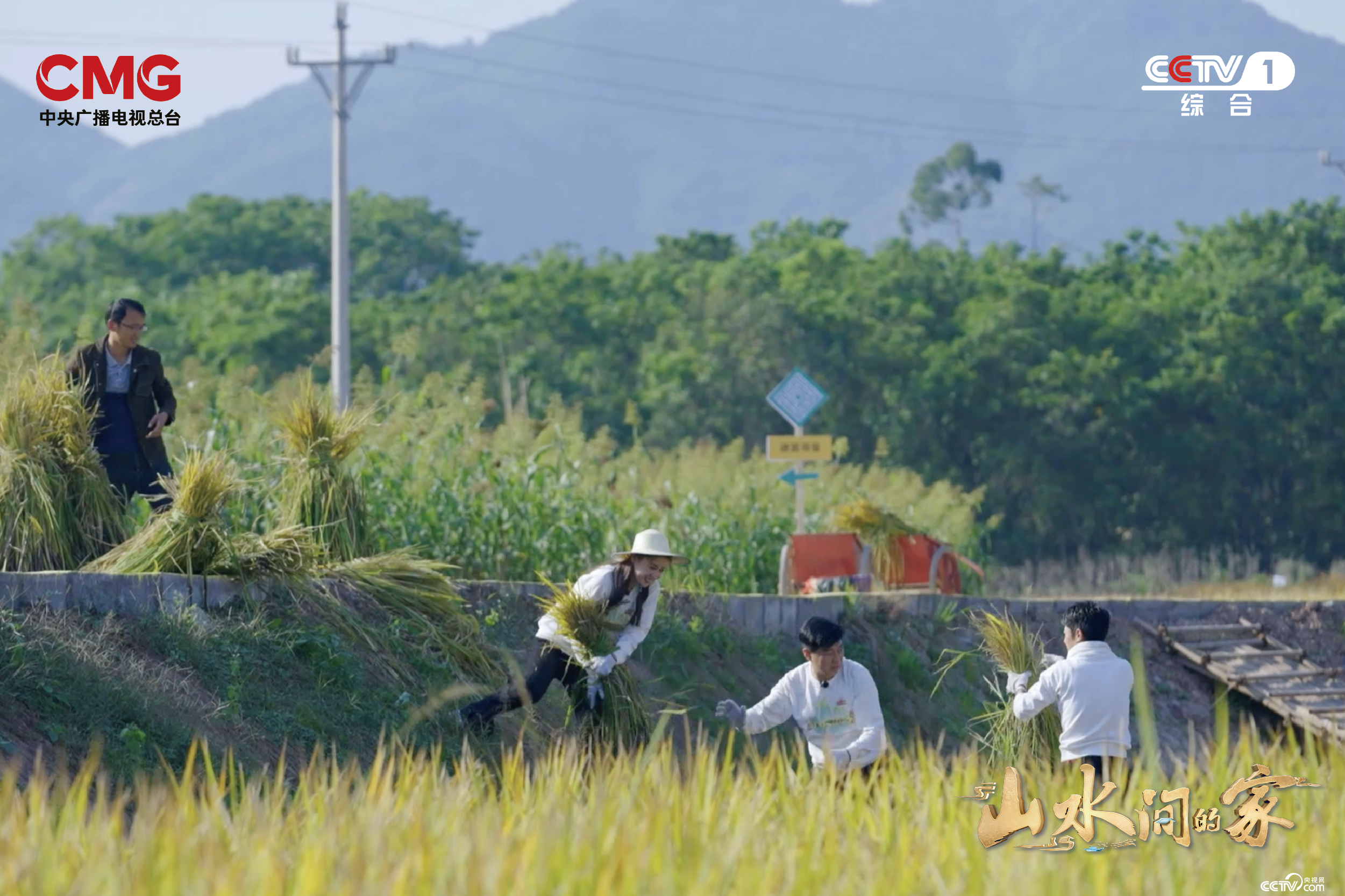艺术如何赋能乡村？《山水间的家》撒贝宁张舒越田间“迷宫寻宝”