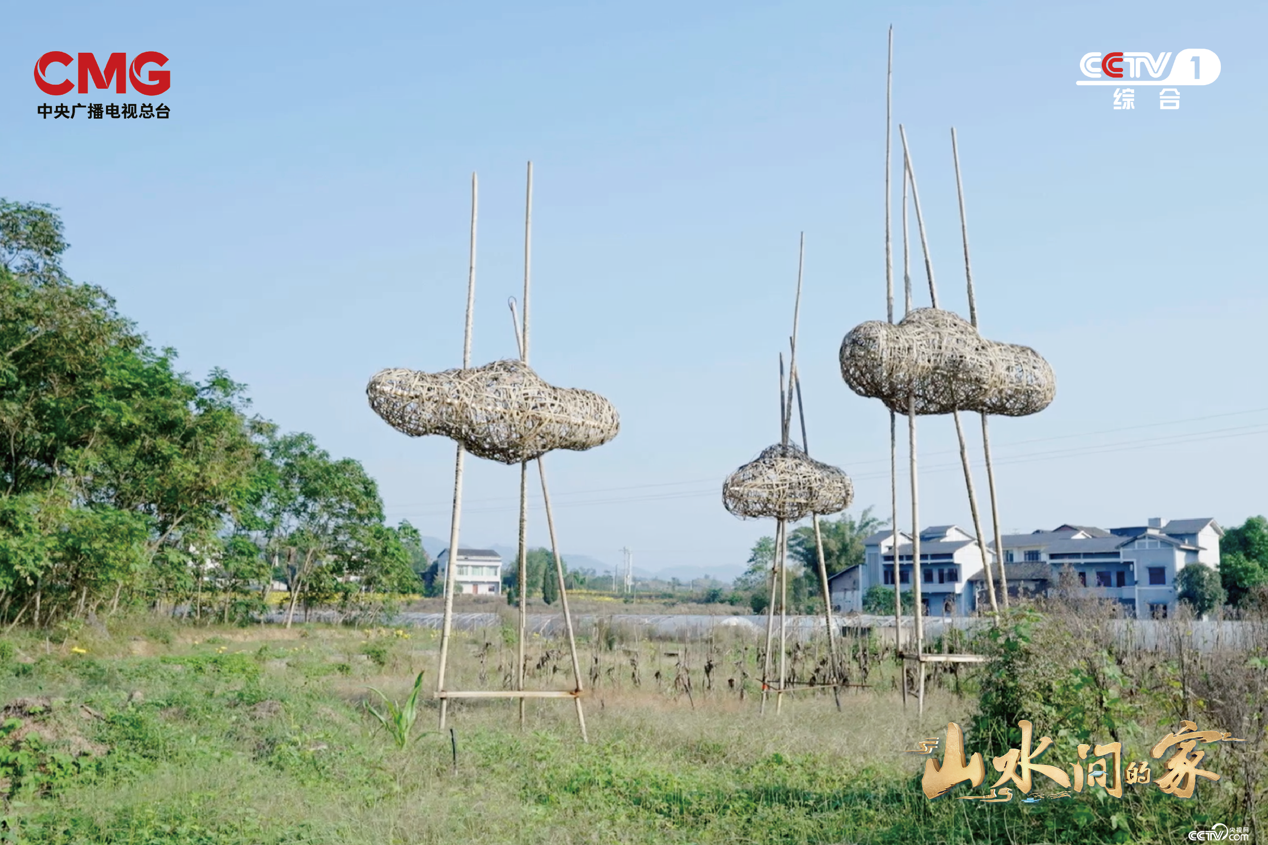 艺术如何赋能乡村？《山水间的家》撒贝宁张舒越田间“迷宫寻宝”