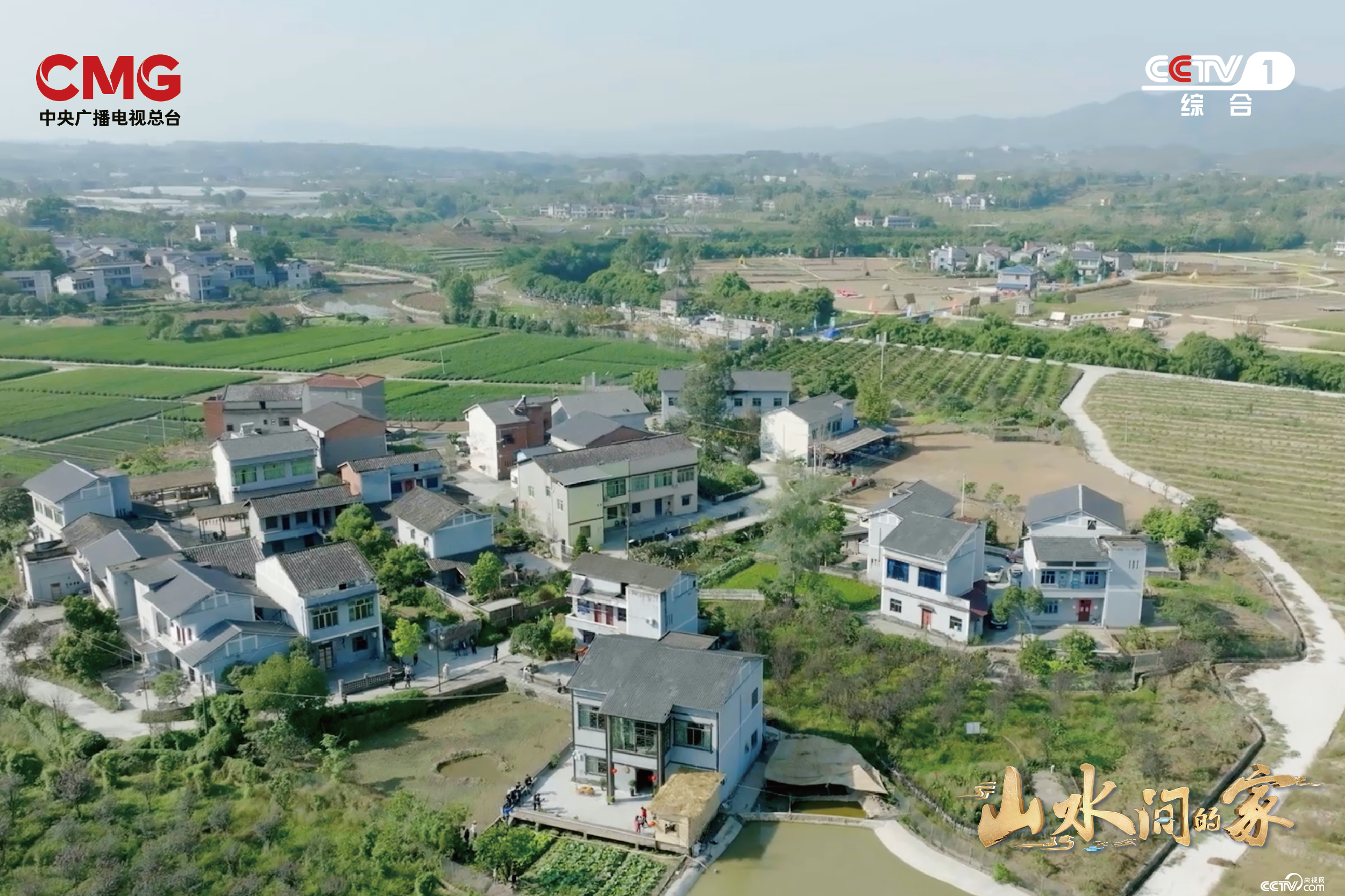 艺术如何赋能乡村？《山水间的家》撒贝宁张舒越田间“迷宫寻宝”