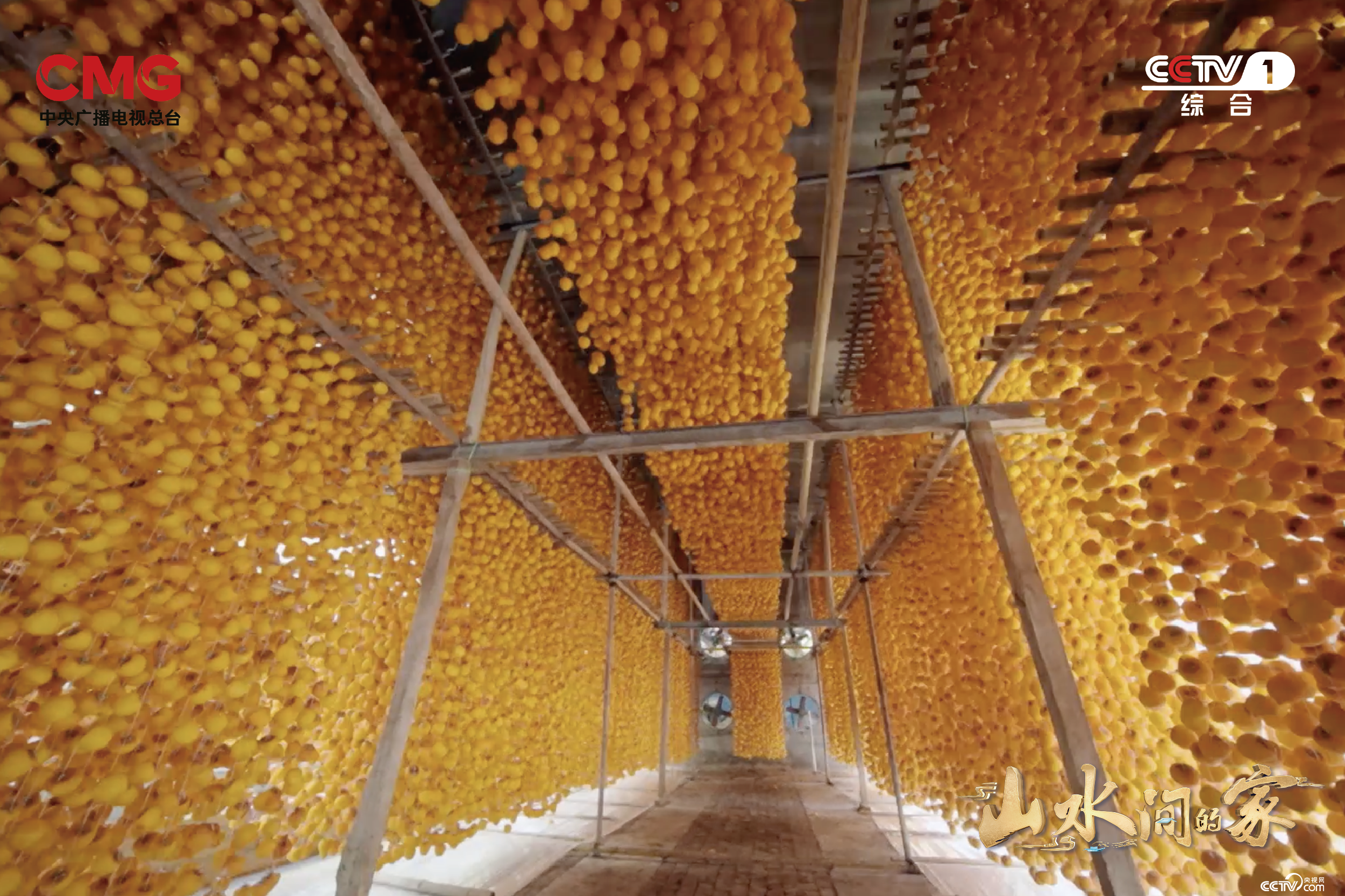 艺术如何赋能乡村？《山水间的家》撒贝宁张舒越田间“迷宫寻宝”