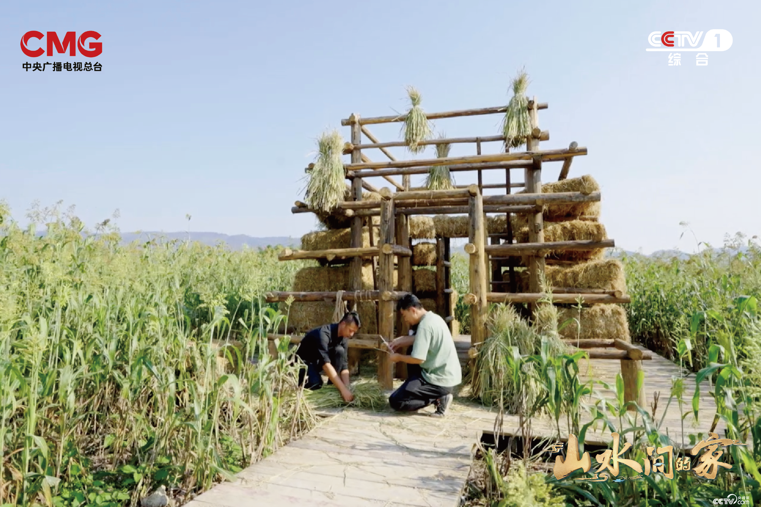 艺术如何赋能乡村？《山水间的家》撒贝宁张舒越田间“迷宫寻宝”