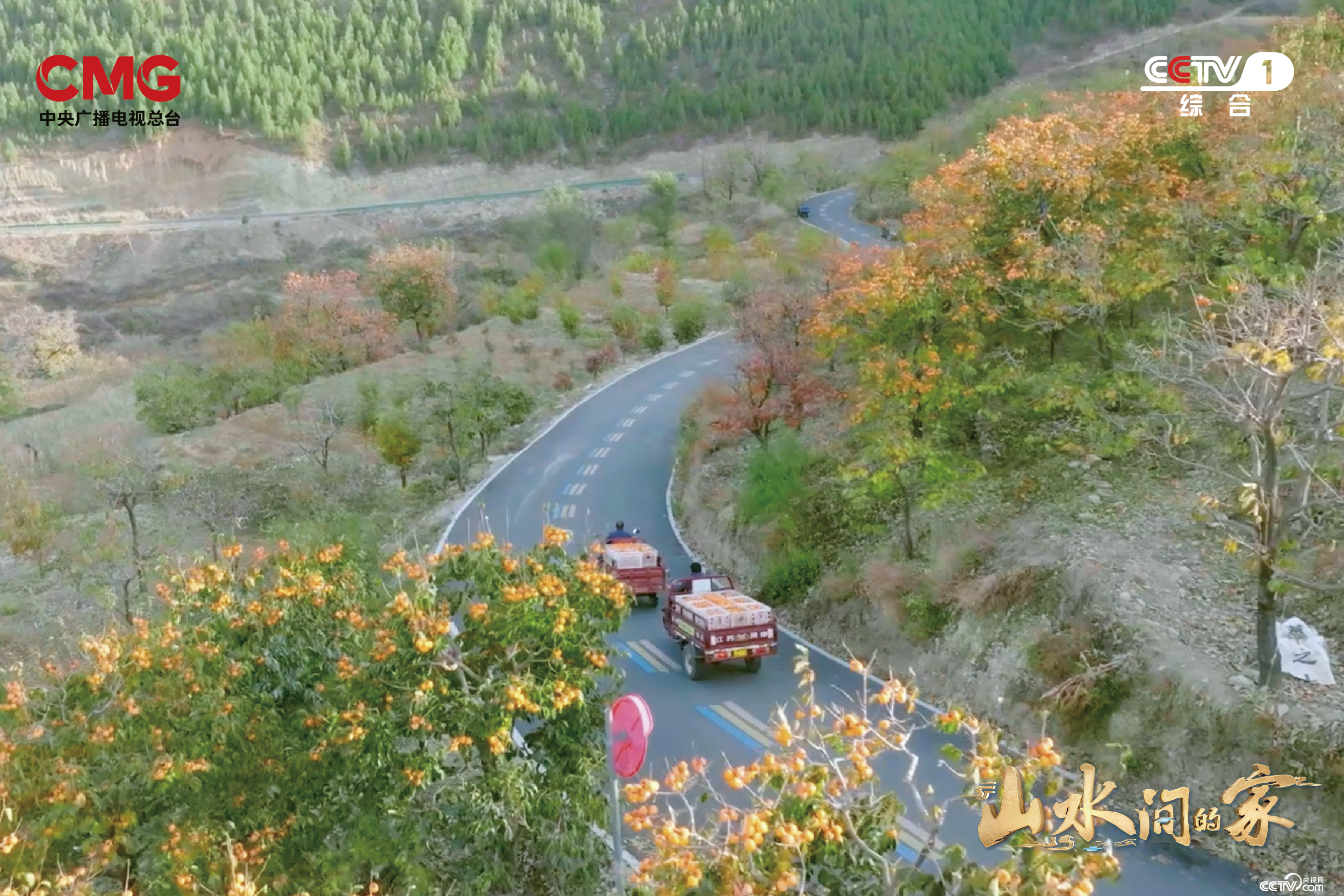 艺术如何赋能乡村？《山水间的家》撒贝宁张舒越田间“迷宫寻宝”