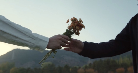 向光而生，与影同行！第四届海影节官方宣传片发布